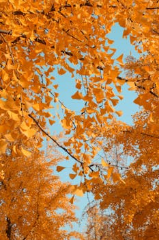 苹果公司在中国应用商店实施佣金率下调举措,标准费率调整为25%,小型企业优惠进一步降至12%;这一变化源于监管沟通,将于近期生效,旨在优化开发者生态并提升平台竞争力。 IT技术 苹果公司在中国应用商店实施佣金率下调举措,标准费率调整为25%,小型企业优惠进一步降至12%;这一变化源于监管沟通,将于近期生效,旨在优化开发者生态并提升平台竞争力。 IT技术 苹果公司在中国应用商店实施佣金率下调举措,标准费率调整为25%,小型企业优惠进一步降至12%;这一变化源于监管沟通,将于近期生效,旨在优化开发者生态并提升平台竞争力。 IT技术