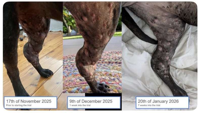 春季健康预警:麻疹防控升级,你的疫苗接种记录查了吗? 健康养生