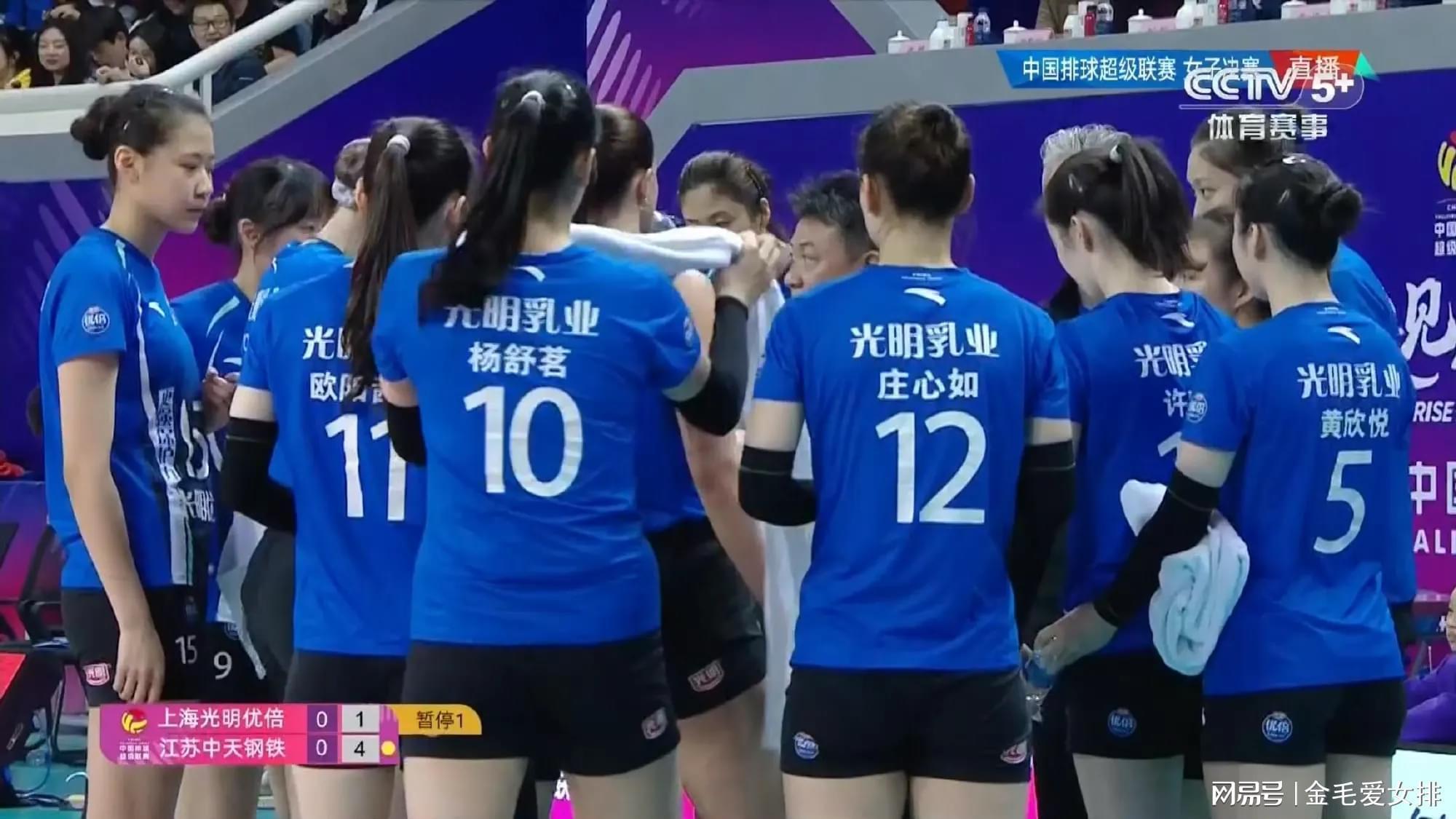  从“联赛弃将”到冠军拼图：拆解上海女排精准引援的技术方程式 体育新闻