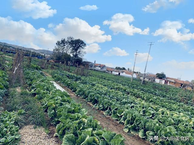  从节气养生到行为哲学：深度拆解农历二月十三民俗禁忌的底层逻辑 文化旅游