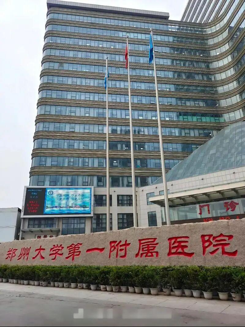  「郑州定居可行性报告：从生活成本、教育生态到房产价值的系统分析」 房产家居