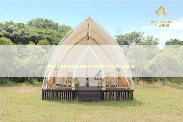 技术深度挖掘资源获取平台的独特优势与实践价值 新闻