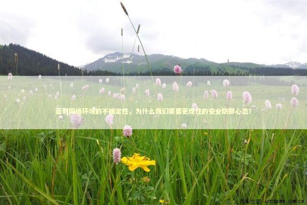 面对网络环境的不确定性，为什么我们需要更理性的安全防御心态？ IT技术