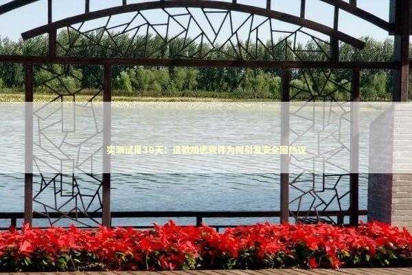 实测试用30天：这款加密软件为何引发安全圈热议