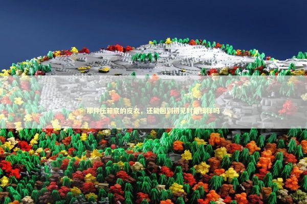 那件压箱底的皮衣，还能回到初见时的模样吗 时尚用品