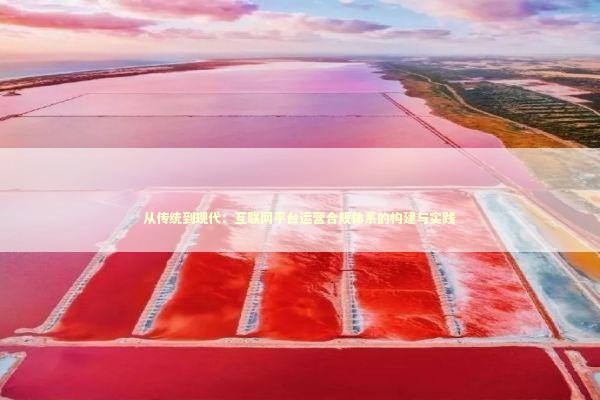 从传统到现代：互联网平台运营合规体系的构建与实践 IT技术