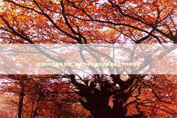 追踪100个团队发现：协作效率高的组织都具备这个共同特征 企业服务